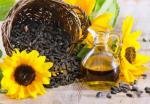 Користь насіння соняшника та соняшникової олії