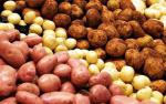 ПП Вінтонів (Продаж картоплі та насіння)