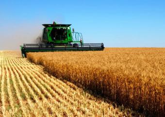 Україна наростила експорт аграрної продукції в ЄС в 4 рази
