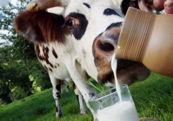 В Україні подешевшає молоко