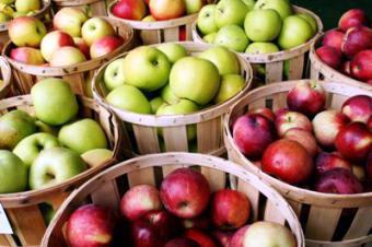 Польща продала весь врожай яблук, незважаючи на санкції РФ