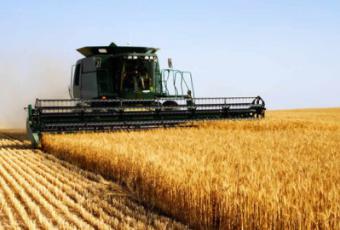 Українські аграрії поставили рекорд з експорту зерна
