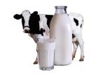 В Україні падають ціни на молоко