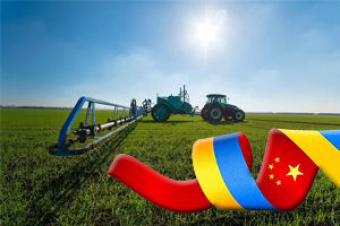 Українські аграрії рекордно збільшили експорт в Китай