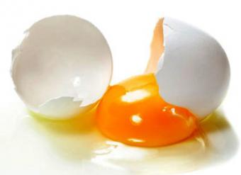 Яйця приносять організму лише користь, - вчені
