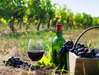 Мінагропрод стимулюватиме розвиток виноробної галузі в Україні