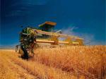 Україна може стати аграрної наддержавою
