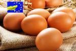 Україна почне поставки яєць в ЄС у квітні 2016 року
