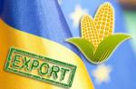 Україна знизила експорт кукурудзи